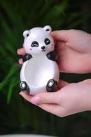 hand- Holding klein panda beer, wit en zwart foto