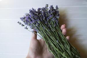 vrouw hand- aanraken lavendel bloemen. foto