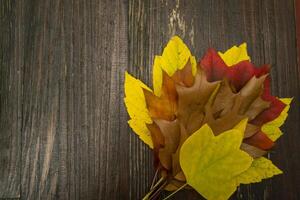 een boeket van herfst bladeren Aan de houten achtergrond met kopiëren ruimte. herfst achtergrond. foto