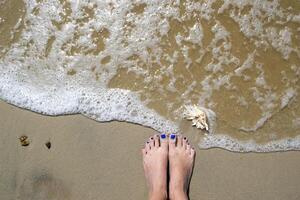 vrouw voeten en zeeschelp Aan de nat zand. foto