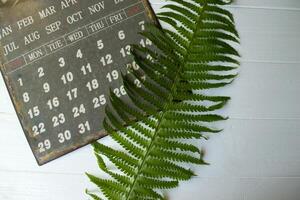 wijnoogst kalender en groen varen Aan een wit houten achtergrond. foto