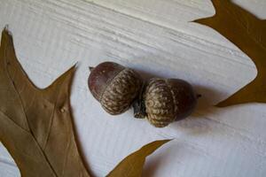 herfst bladeren Aan een wit houten achtergrond. helder patroon. foto