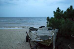 wijnoogst boot Bij de kustlijn tegen een zeegezicht achtergrond. foto