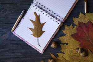 geopend notitieboekje, pen en droog eik bladeren Aan een blauw houten tafel. foto