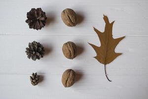 pijnboom kegels en walnoten Aan een wit tafel. foto