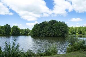 zomer park landschap. foto