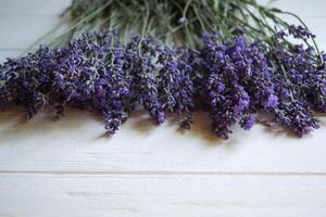 vers lavendel bloemen Aan een wit houten achtergrond. foto