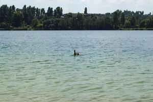 mooi blauw meer. zomer landschap. de schoonheid van natuur. foto