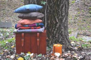 de kussens en plaid Aan een borst in de buurt boom buitenshuis. foto