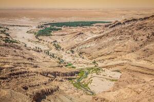 berg oase tamerza in Tunesië in de buurt de grens met Algerije. foto
