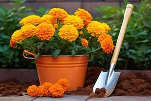 ai gegenereerd Schep en pot met goudsbloem bloemen voor aanplant in huis tuin. tuinieren en bloementeelt. foto