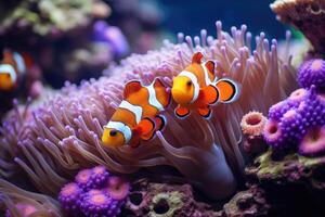 ai gegenereerd amphiprion Ocellaris clown vis en anemoon in zee. foto