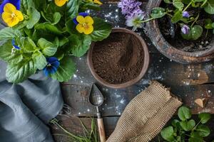 ai gegenereerd voorjaar bloemen in potten met Schep en bodem Aan tuin tafel. concept van tuinieren en aanplant planten foto