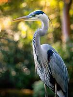 ai gegenereerd Super goed blauw reiger door de meer foto