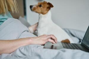 vrouw met schattig hond aan het liegen in bed en gebruik makend van laptop Bij ochtend- foto