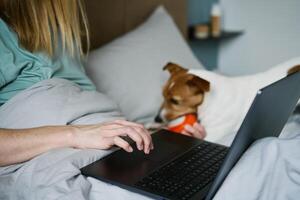 vrouw met schattig hond aan het liegen in bed en gebruik makend van laptop Bij ochtend- foto