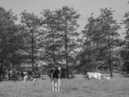 het kleine dorpje weseke in westfalen foto