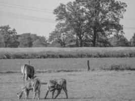 het kleine dorpje weseke in westfalen foto