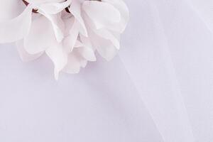 delicaat luchtig bruiloft achtergrond voor ontwerp, kaart, uitnodiging. wit vouwen van de bruid sluier en wit vers bloemen. romantisch ontwerp. een kopiëren ruimte. foto