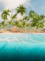 tropisch strand met palm bomen en onderwater- visie foto