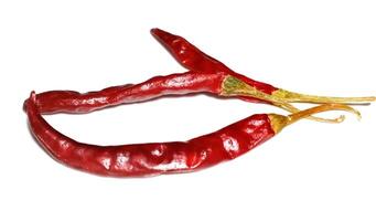 droog rood peper geïsoleerd Aan wit achtergrond foto