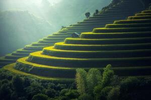 rijstvelden op terrassen van mu cang chai, yenbai, vietnam foto