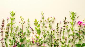 ai gegenereerd voorjaar wilde bloemen vlak leggen Aan pastel achtergrond foto