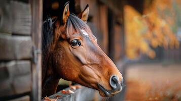 ai gegenereerd paard plakken hoofd uit van stal foto