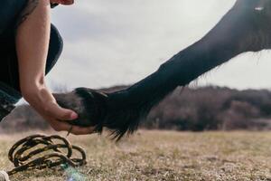 jong gelukkig vrouw met haar pony paard in avond zonsondergang licht. buitenshuis fotografie met mode model- meisje. levensstijl humeur. concept van buitenshuis rijden, sport- en recreatie. foto