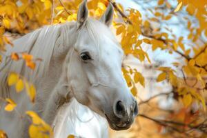 ai gegenereerd portret van mooi wit paard in herfst foto