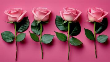 ai gegenereerd vijf roze rozen met groen bladeren Aan een roze achtergrond foto