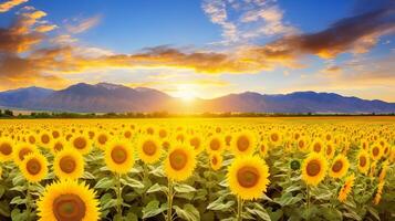 ai gegenereerd zonnebloem veld- creëren een pittoreske bloeien schouwspel foto