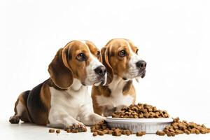 ai gegenereerd twee beagles honden gezeten met een schotel van droog voedsel. foto