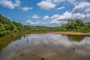 George doorboren park wetlands in Georgië foto