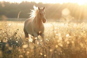 ai gegenereerd mooi ras paard rennen in de veld- in zomer foto