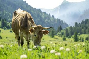 ai gegenereerd gehoornd koe begrazing in groen weide. foto