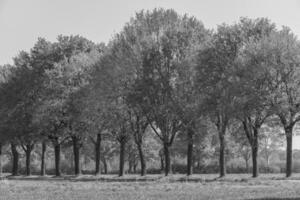 weseke in Westfalen foto