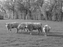 de Duitse münsterland foto