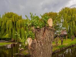 weseke in Westfalen foto