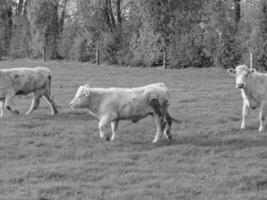 weseke in Westfalen foto