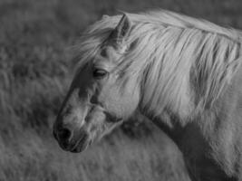 juist eiland Duitsland foto