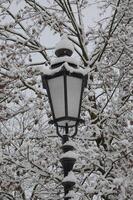 winter tijd in Westfalen foto