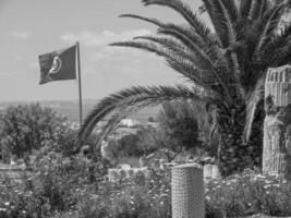 Tunis in Tunesië foto