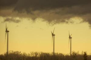 drie windmolens in een vlak landschap met donker regenwolken en geel kleur foto