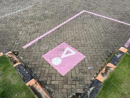 bestrating blok parkeren met uniek roze parkeren lijnen en symbool in rust uit gebieden foto