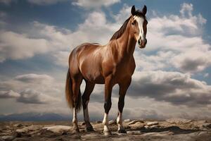 ai gegenereerd een mooi paard staat sierlijk Aan een bewolkt lucht achtergrond foto