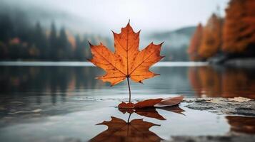 ai gegenereerd een levendig herfst kleurrijk esdoorn- blad in rood en geel kleuren. blad kleur droog park dichtbij illustratie Woud herfst, natuurlijk seizoen, buitenshuis tuin blad kleur droog park dichtbij foto