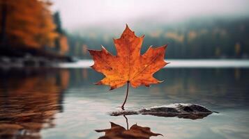 ai gegenereerd een levendig herfst kleurrijk esdoorn- blad in rood en geel kleuren. blad kleur droog park dichtbij illustratie Woud herfst, natuurlijk seizoen, buitenshuis tuin blad kleur droog park dichtbij foto