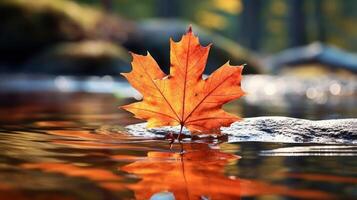 ai gegenereerd een levendig herfst kleurrijk esdoorn- blad in rood en geel kleuren. blad kleur droog park dichtbij illustratie Woud herfst, natuurlijk seizoen, buitenshuis tuin blad kleur droog park dichtbij foto