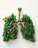 ai gegenereerd menselijk longen in de het formulier van bomen of bladeren Aan een wit achtergrond foto